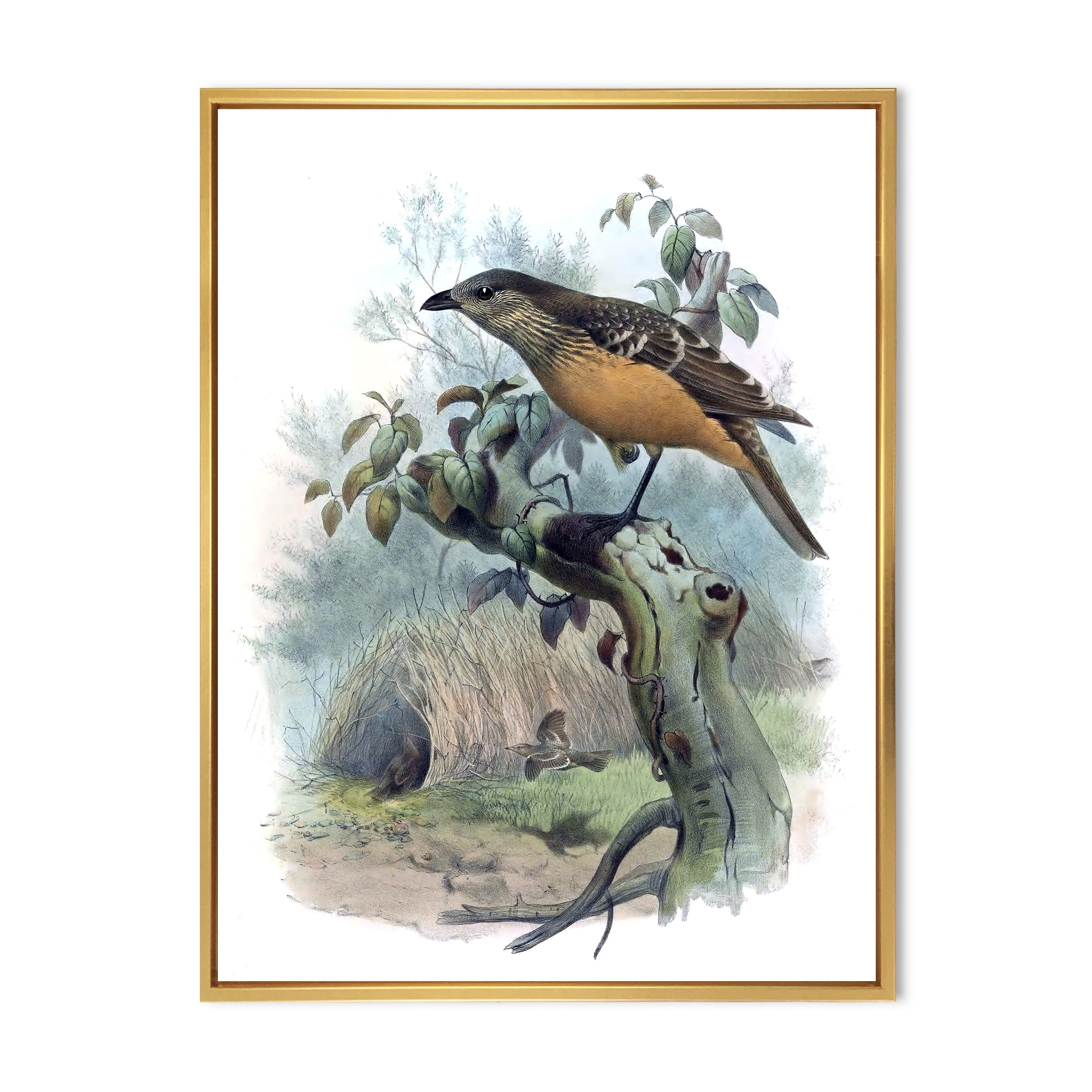 Designart 'The Paradise Birds on a Tree Branch' Traditional Framed Canvas Wall Art Print