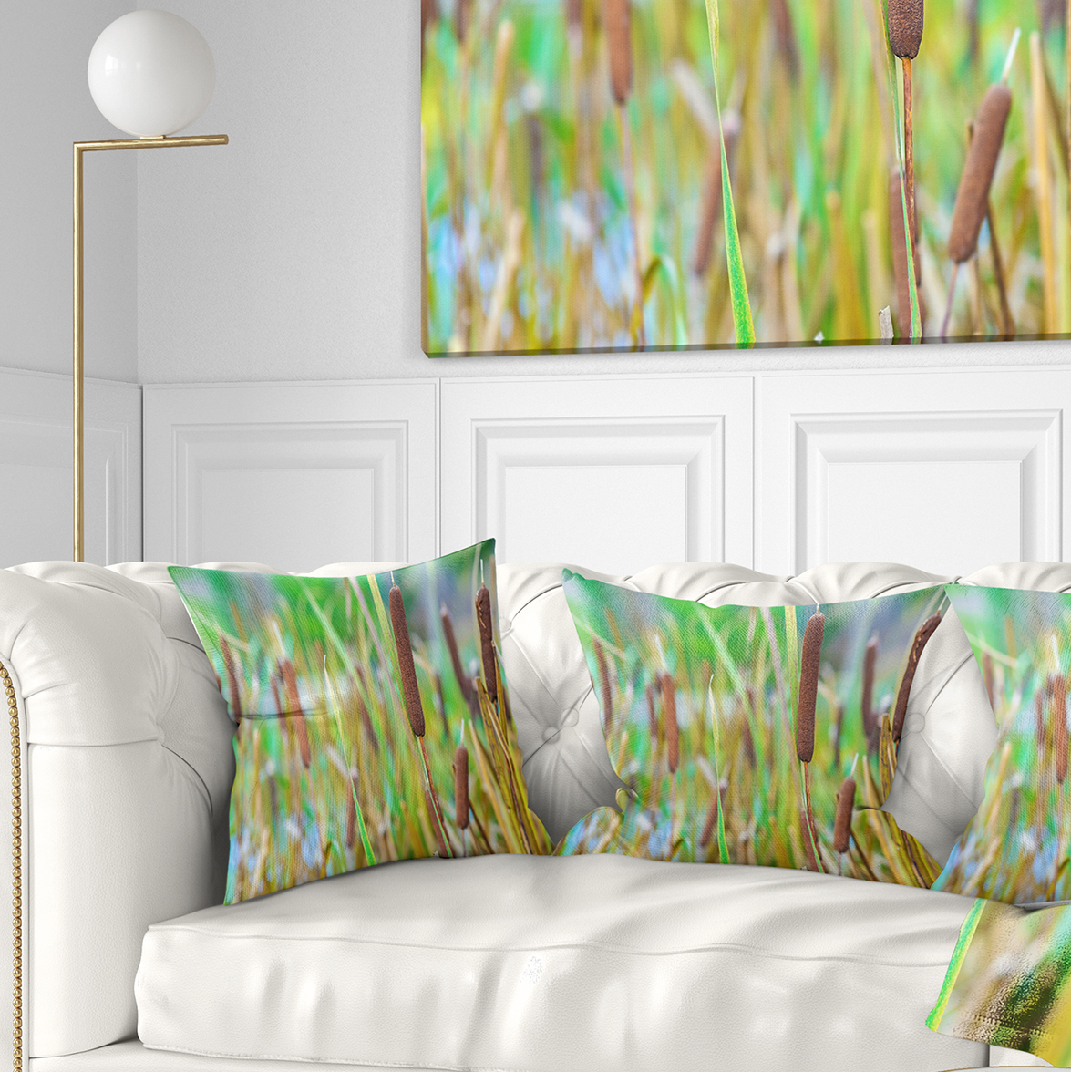 Designart The Reeds - Landscape Photography Throw Pillow - 18x18