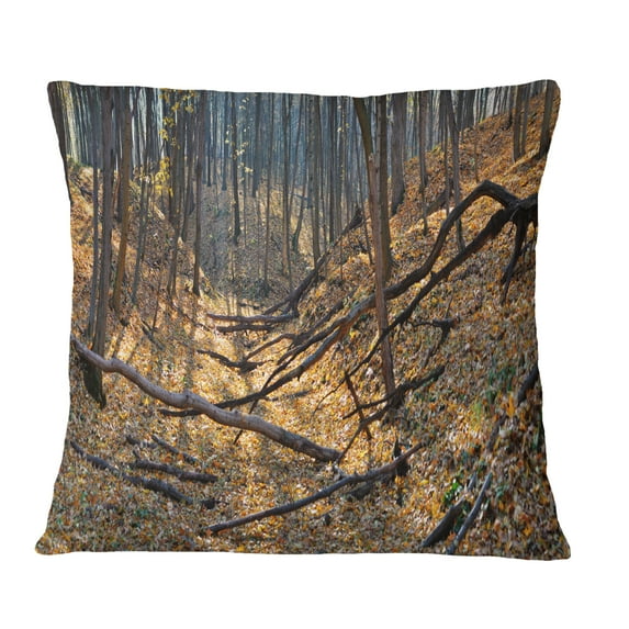 Designart Thick Autumn Forest Panorama - Landscape Printed Throw Pillow - 16x16