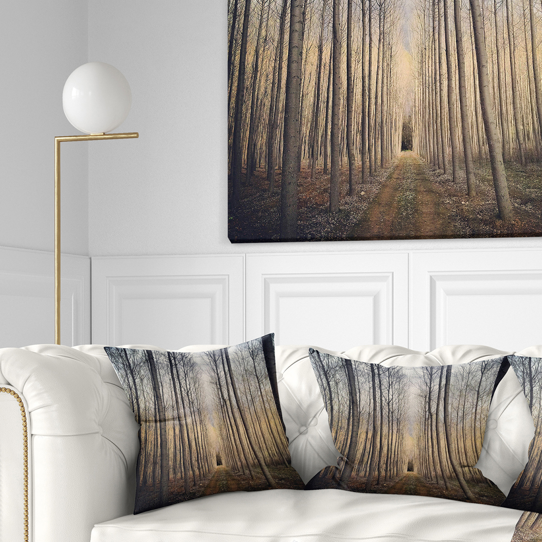 Designart Thick Forest of Poplars at Sunset - Forest Throw Pillow - 18x18