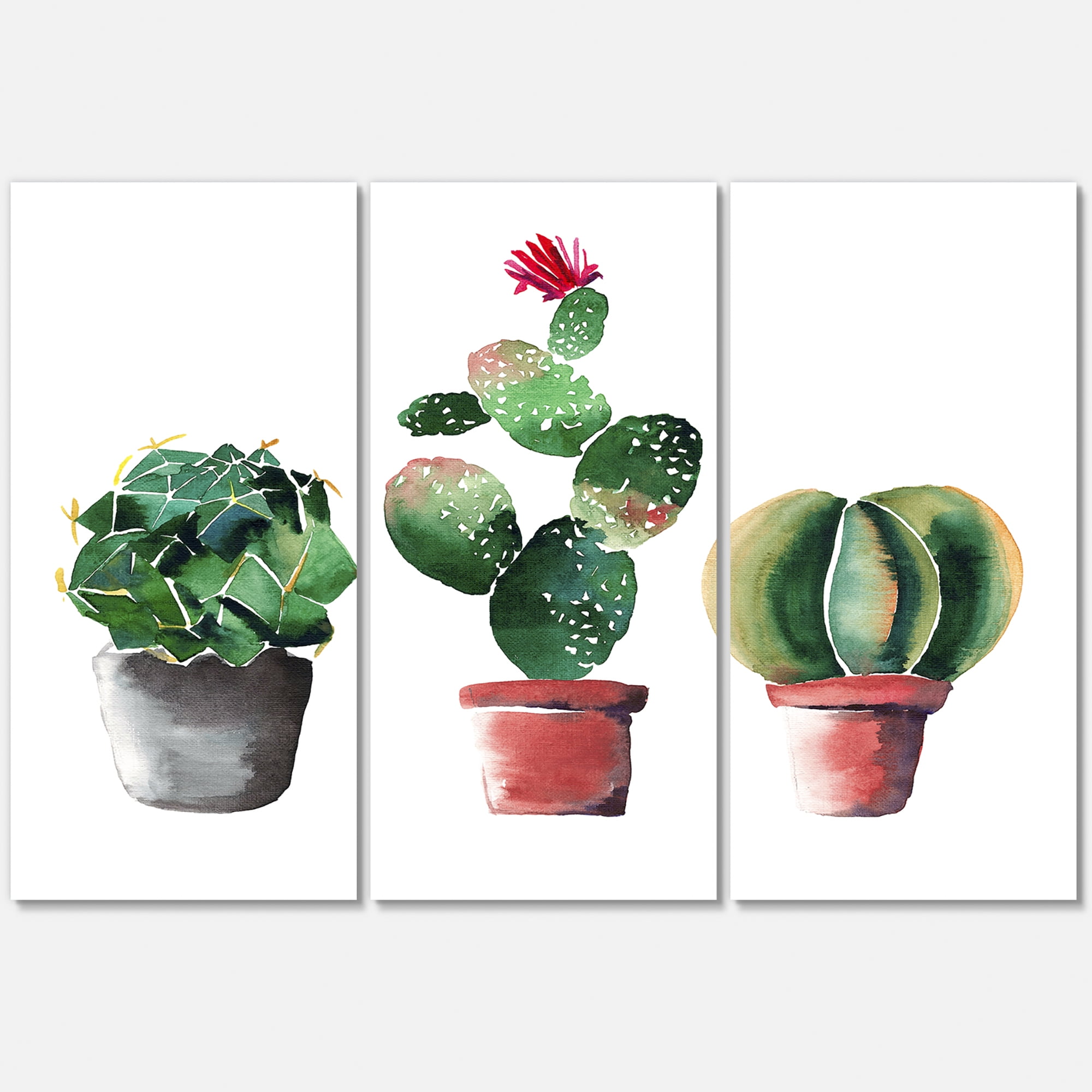 Designart ' Three Cacti In Clay Pots On White ' Traditional Canvas Wall Art Print