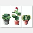 thumbnail image 1 of Designart ' Three Cacti In Clay Pots On White ' Traditional Canvas Wall Art Print, 1 of 3