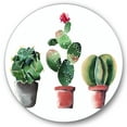 thumbnail image 1 of Designart 'Three Cacti In Clay Pots On White' Traditional Circle Metal Wall Art 29x29 - Disc of 29, 1 of 5