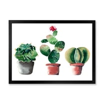Designart 'Three Cacti In Clay Pots On White' Traditional Framed Art Print