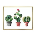 thumbnail image 1 of Designart 'Three Cacti In Clay Pots On White' Traditional Framed Canvas Wall Art Print, 1 of 5