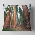 thumbnail image 1 of Designart Three Large Sequoya Trees - African Landscape Printed Throw Pillow - 16x16, 1 of 4