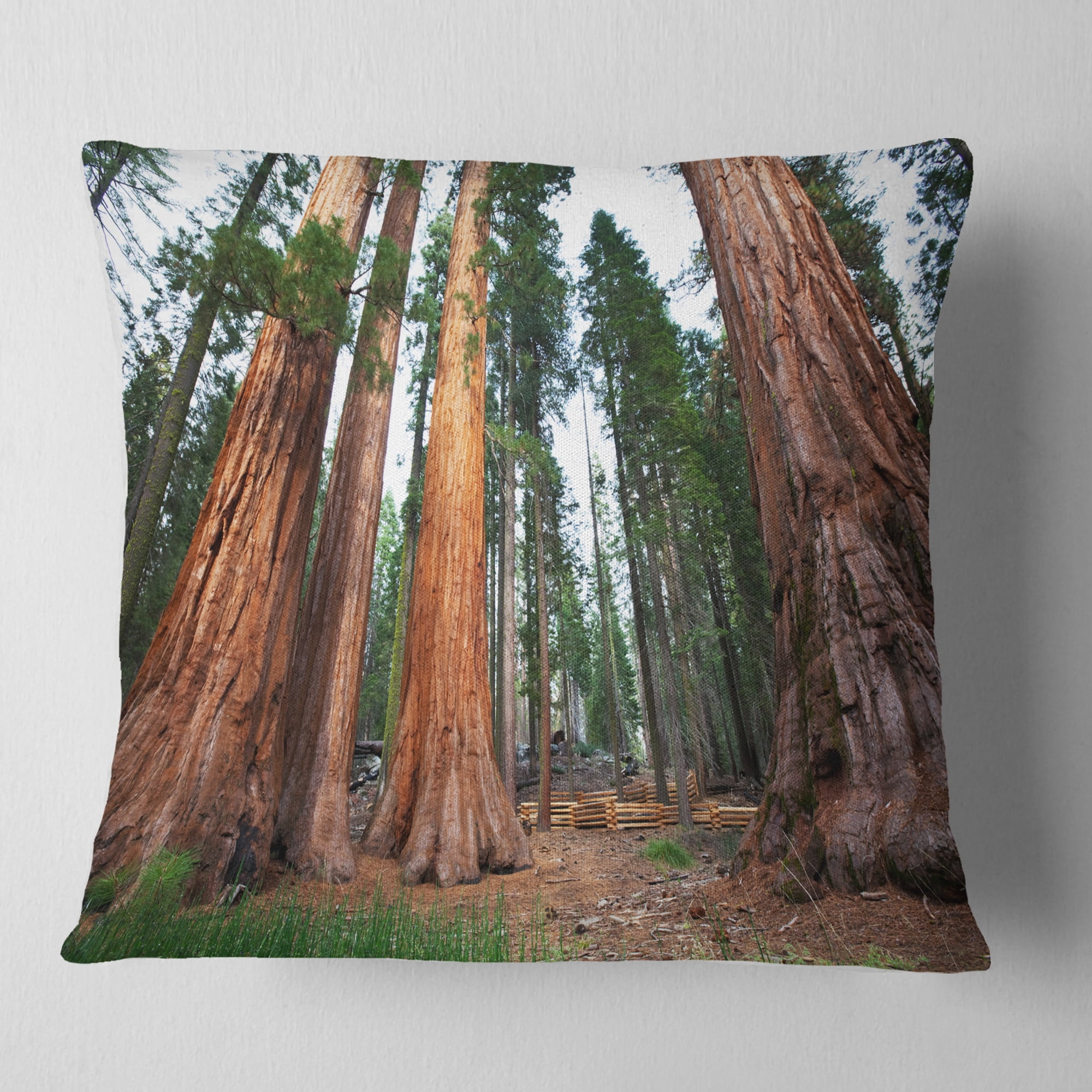 Designart Three Large Sequoya Trees - African Landscape Printed Throw Pillow - 18x18