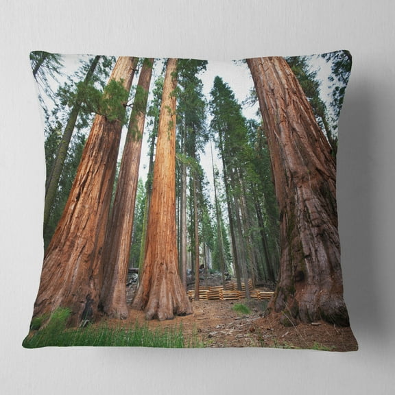 Designart Three Large Sequoya Trees - African Landscape Printed Throw Pillow - 18x18
