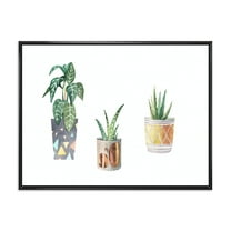 Designart 'Three Potted Houseplants On White' Traditional Framed Canvas Wall Art Print