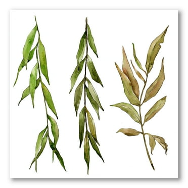 Designart ' Three Willow Branches On White ' Farmhouse Canvas Wall Art Print