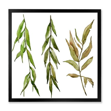 Designart 'Three Willow Branches On White' Farmhouse Framed Art Print