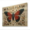 thumbnail image 1 of Designart "Tiny Wonders Insects Bugs wall decor III" Animals Print on Natural Pine Wood, 1 of 5