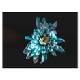thumbnail image 1 of Designart ' Top View of White and Blue Flower ' Traditional Canvas Wall Art Print, 1 of 4
