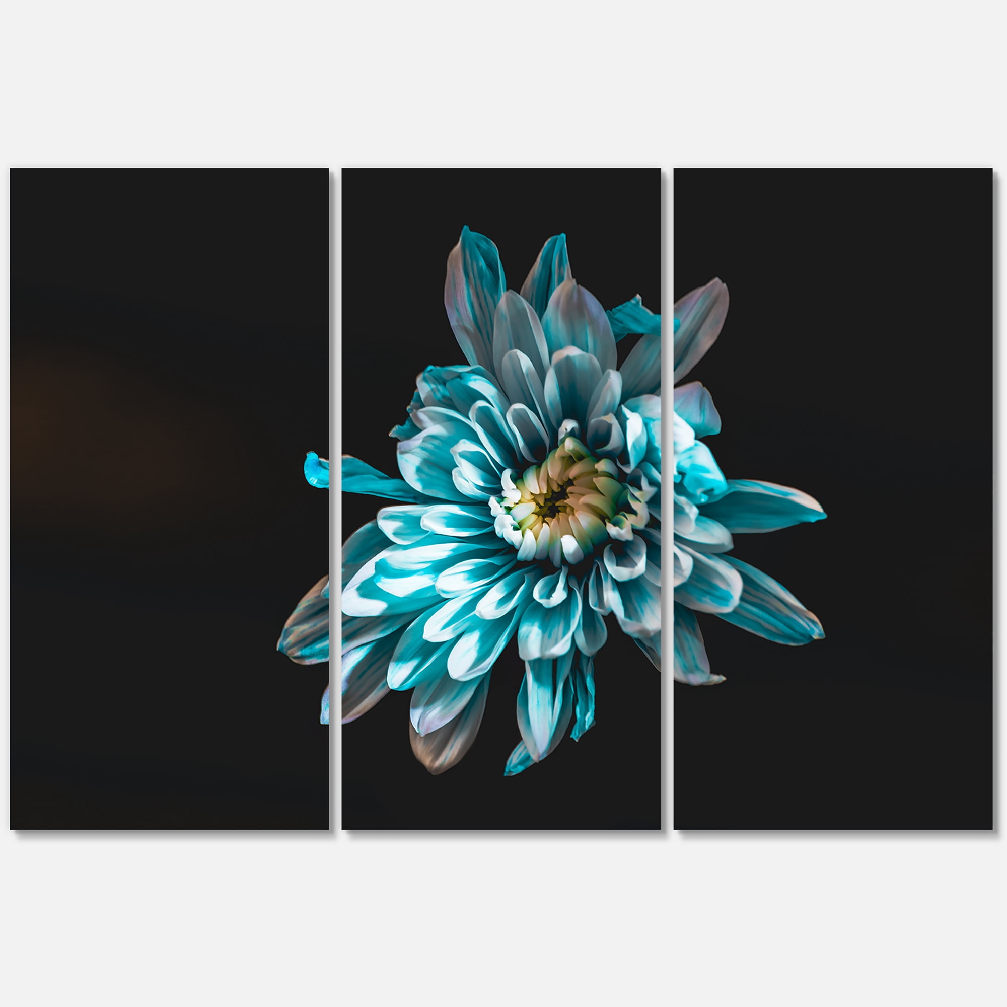 Designart ' Top View of White and Blue Flower ' Traditional Canvas Wall Art Print