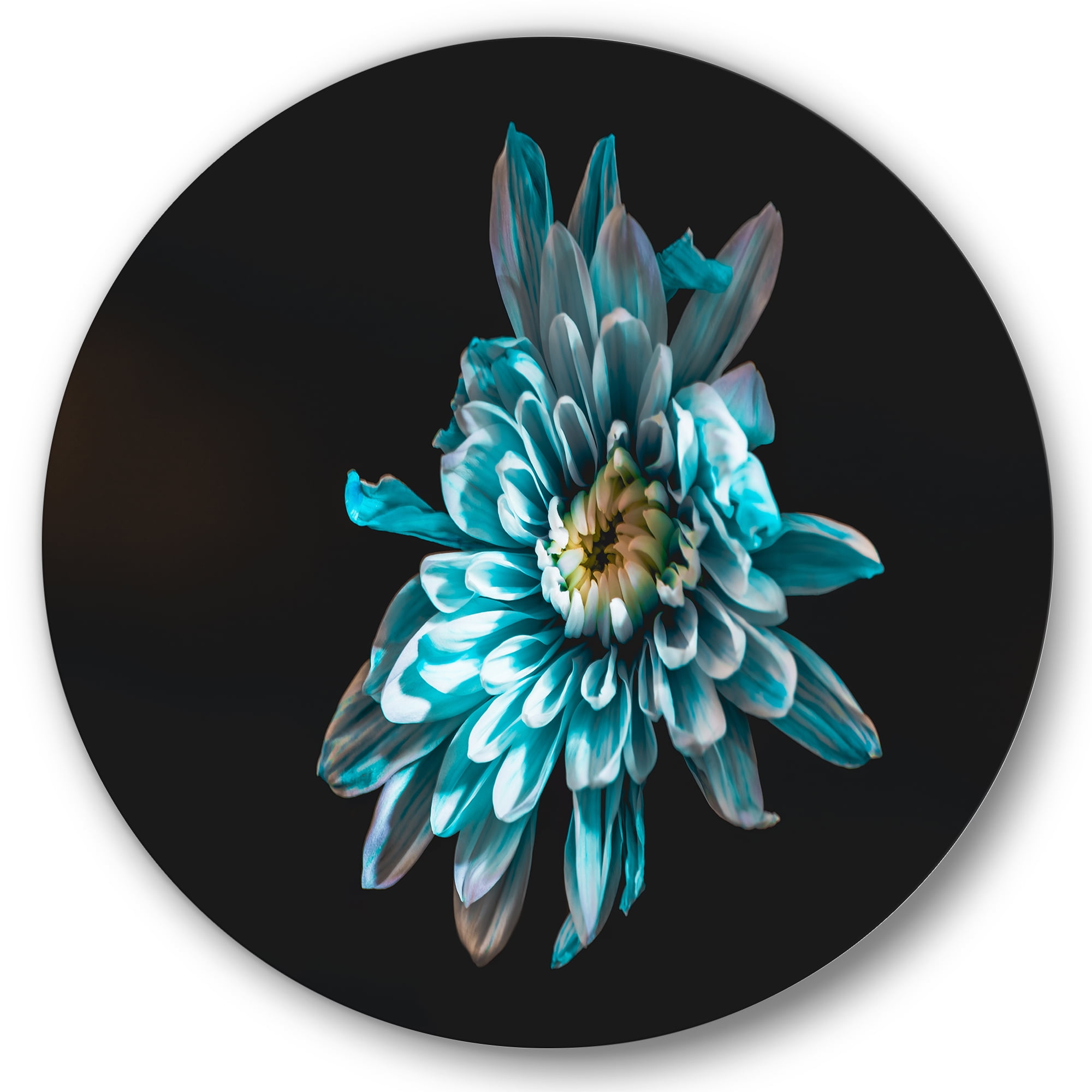 Designart 'Top View of White and Blue Flower' Traditional Circle Metal Wall Art 29x29 - Disc of 29