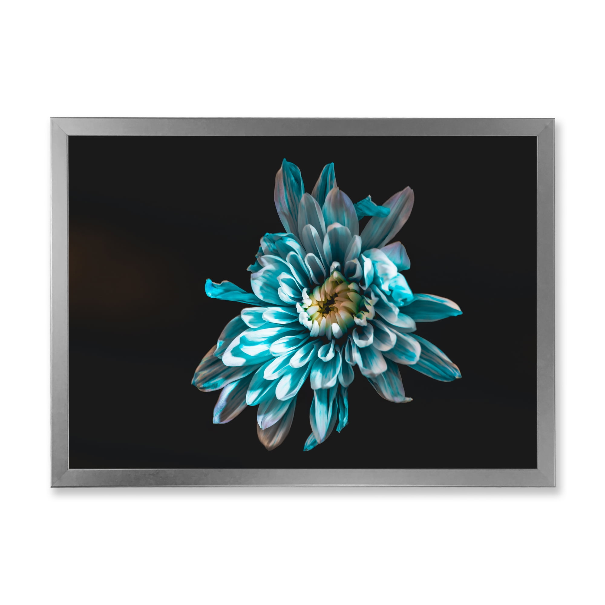 Designart 'Top View of White and Blue Flower' Traditional Framed Art Print