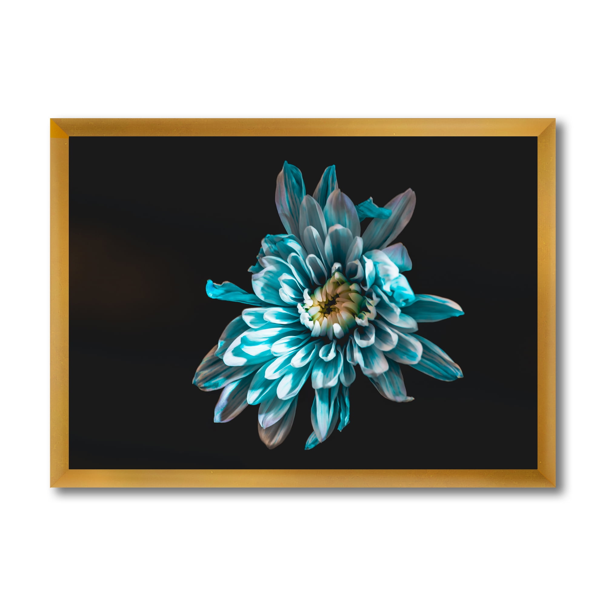 Designart 'Top View of White and Blue Flower' Traditional Framed Art Print