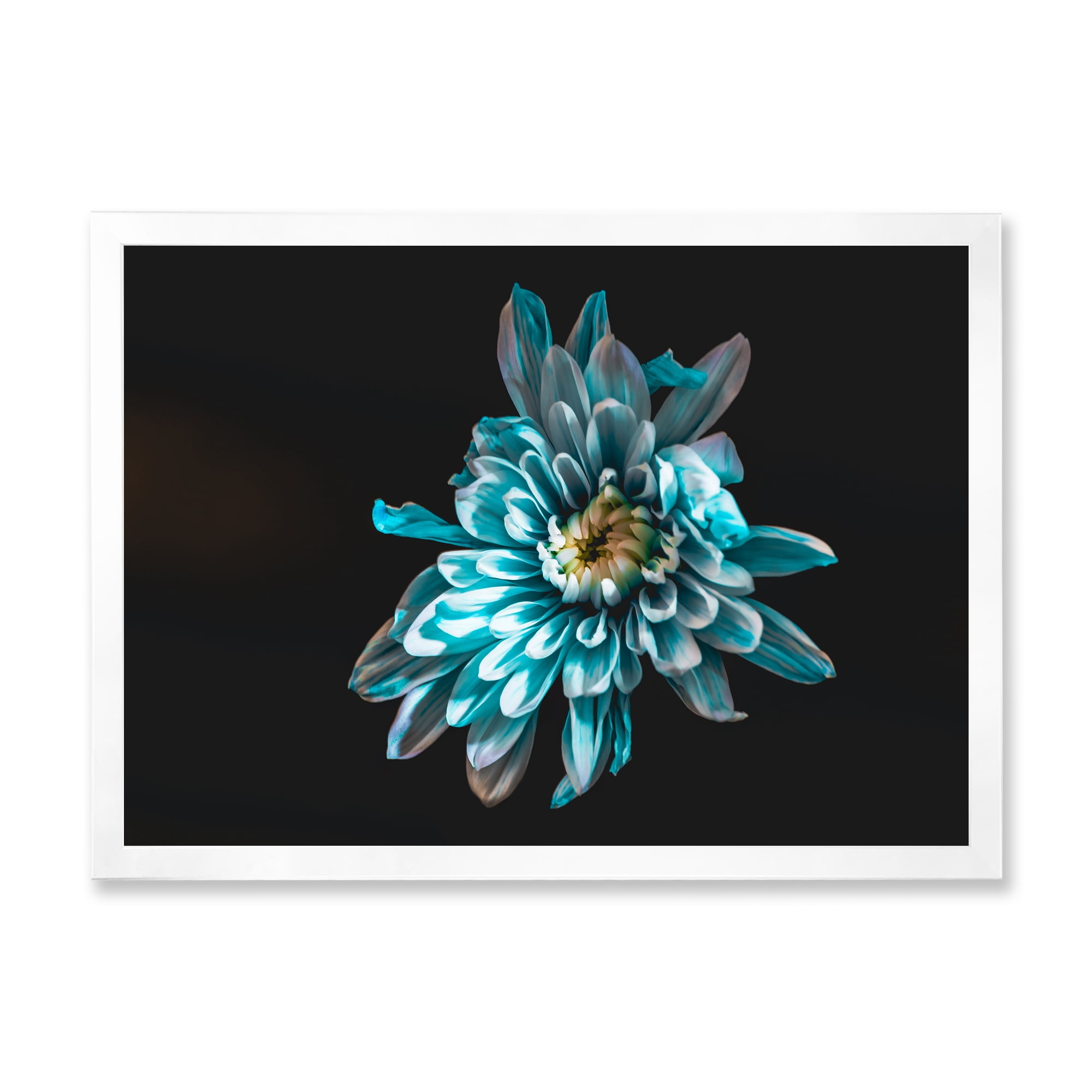 Designart 'Top View of White and Blue Flower' Traditional Framed Art Print