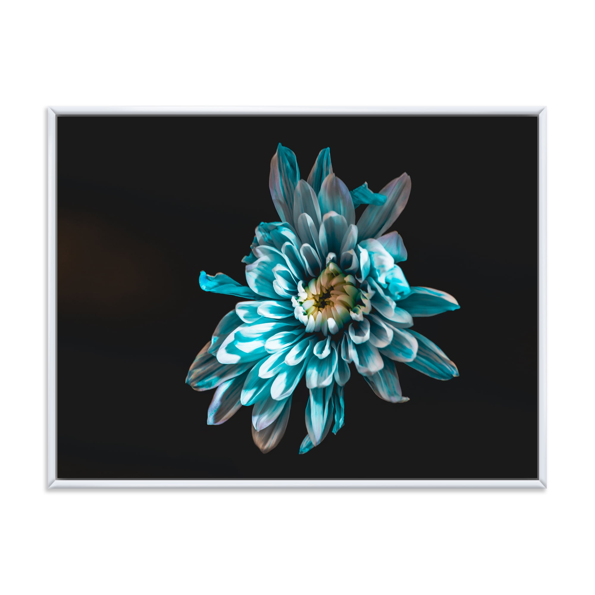 Designart 'Top View of White and Blue Flower' Traditional Framed Canvas Wall Art Print