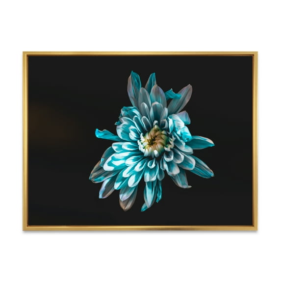Designart 'Top View of White and Blue Flower' Traditional Framed Canvas Wall Art Print
