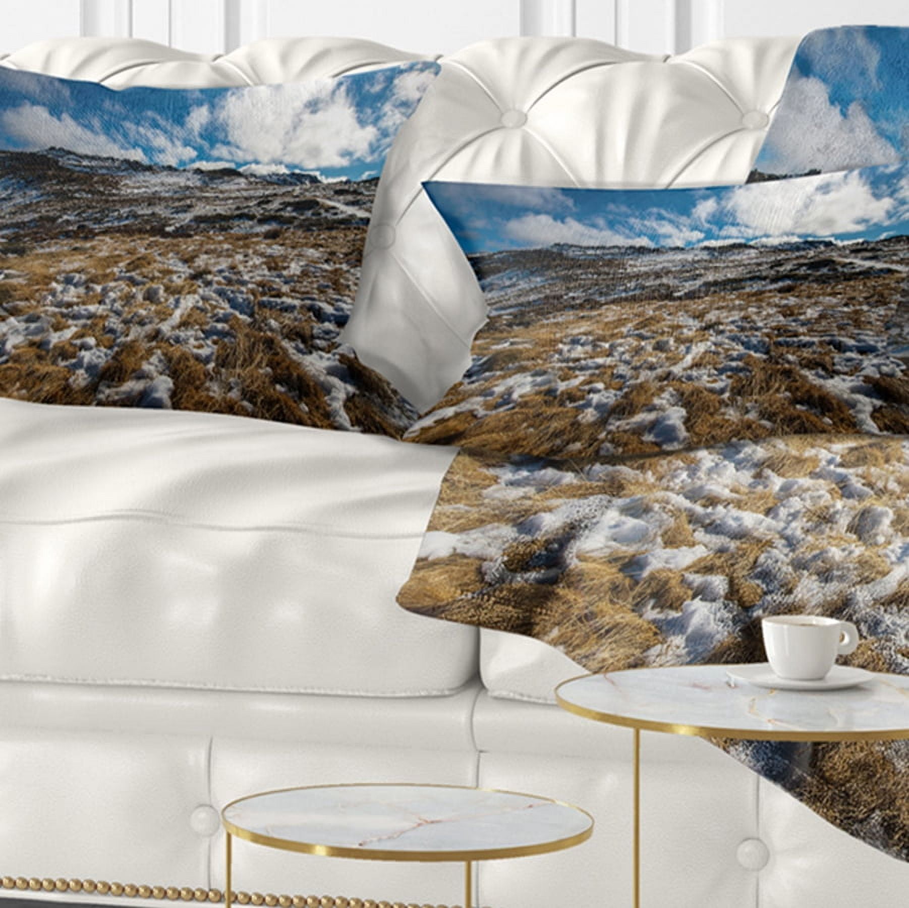 Designart Top of Kosciuszko National Park - Seashore Throw Pillow - 12x20