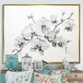 thumbnail image 1 of Designart "Tranquil Black And White Orchid II" Orchids Floater Framed Canvas Art Print, 1 of 5