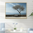 thumbnail image 1 of Designart "Tranquil Coastal Horizon With A Solitary Tree" Coastal Ocean Floater Framed Canvas Prints, 1 of 5