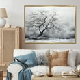 thumbnail image 1 of Designart "Tree Monochrome delicate Reverie III" Floral Floater Framed Wall Decor, 1 of 7