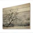 thumbnail image 1 of Designart "Tree Monochrome delicate Reverie III" Floral Print on Natural Pine Wood, 1 of 5