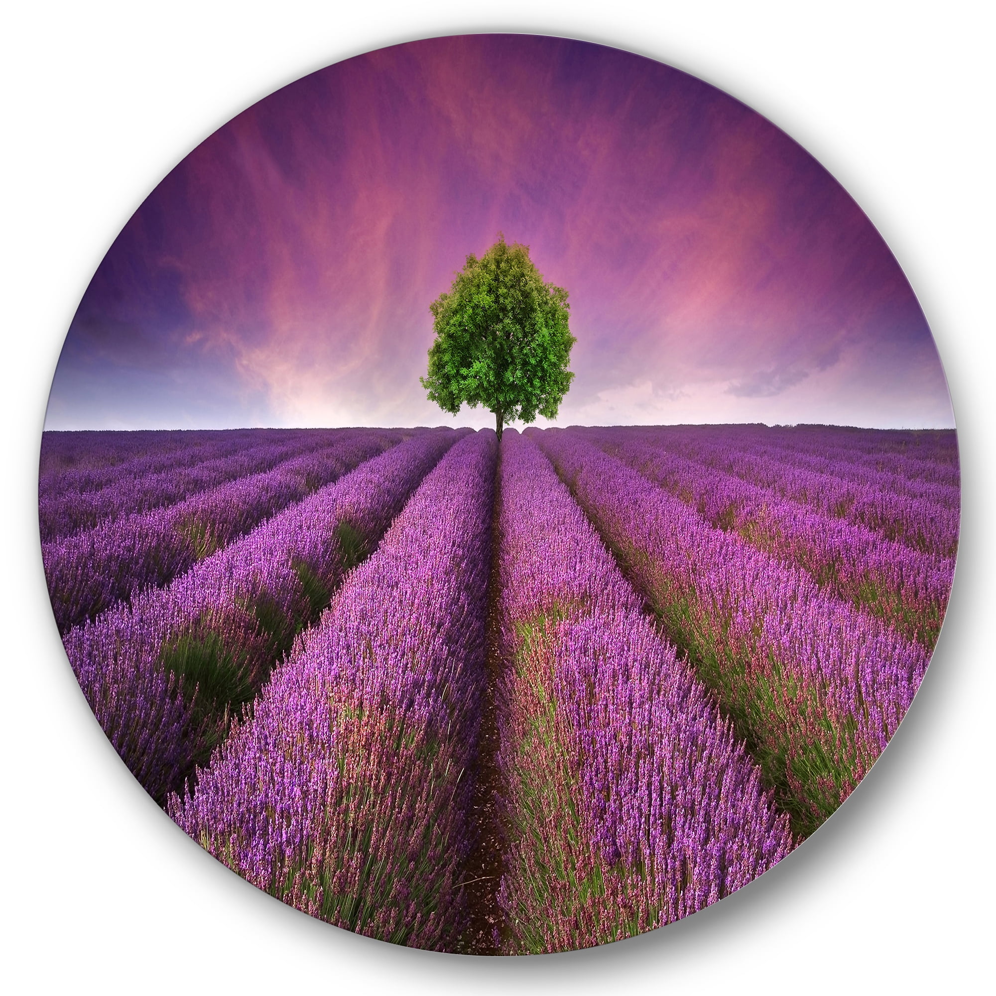 Designart 'Tree With Stunning Lavender Field Summer Sunset' Farmhouse Circle Metal Wall Art 29x29 - Disc of 29