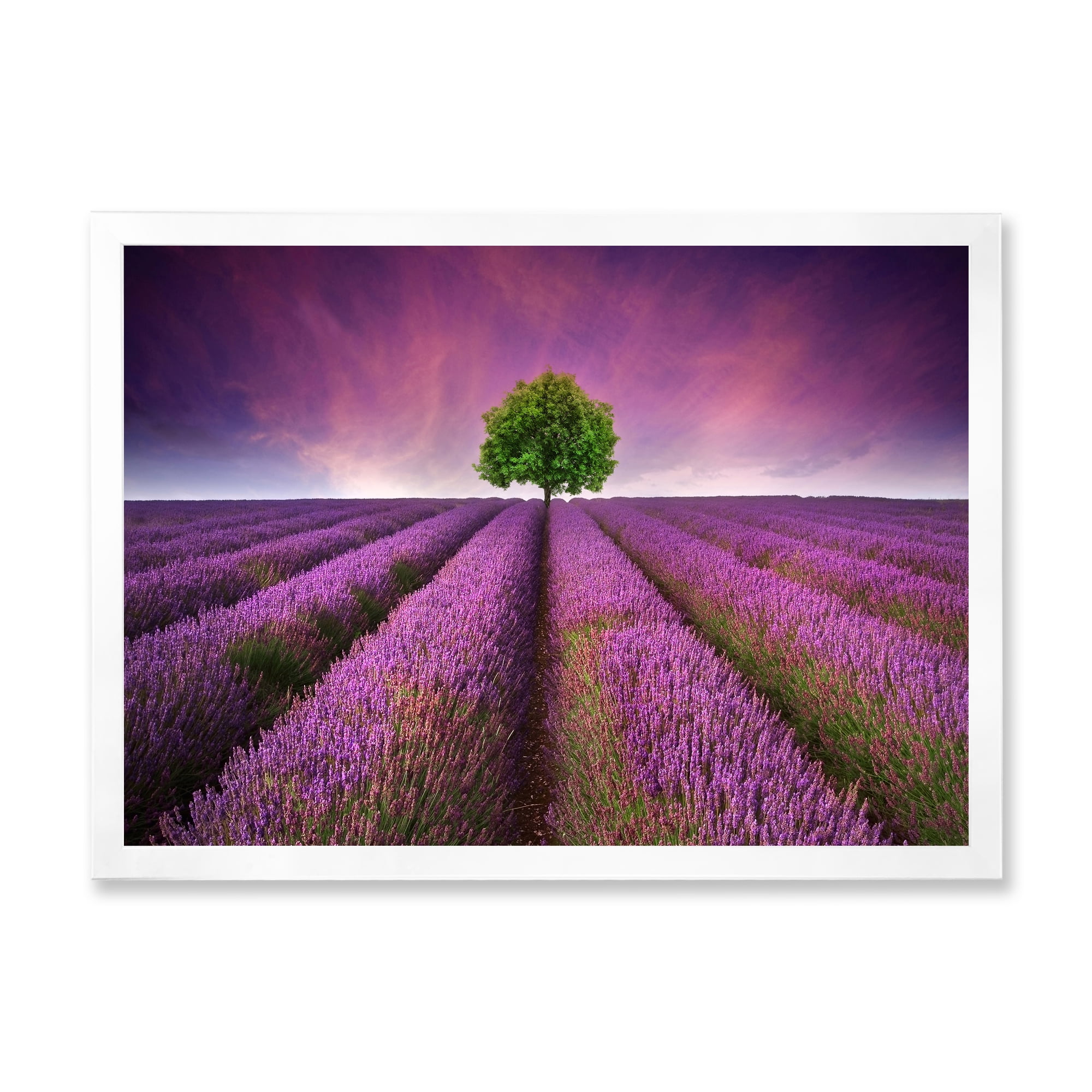 Designart 'Tree With Stunning Lavender Field Summer Sunset' Farmhouse Framed Art Print