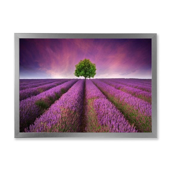 Designart 'Tree With Stunning Lavender Field Summer Sunset' Farmhouse Framed Art Print
