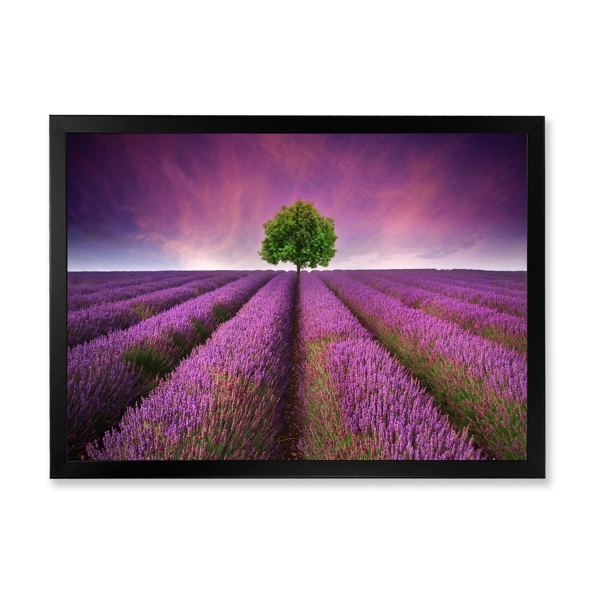 Designart 'Tree With Stunning Lavender Field Summer Sunset' Farmhouse Framed Art Print