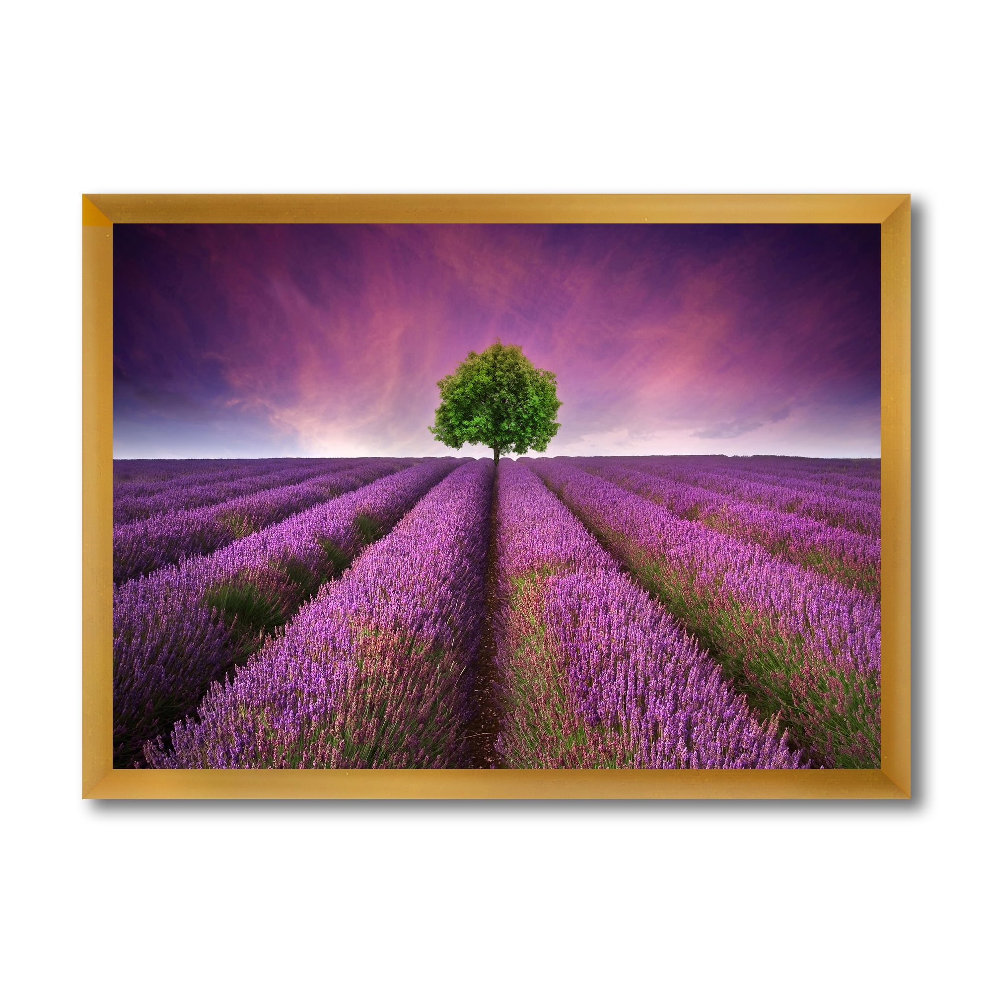 Designart 'Tree With Stunning Lavender Field Summer Sunset' Farmhouse Framed Art Print
