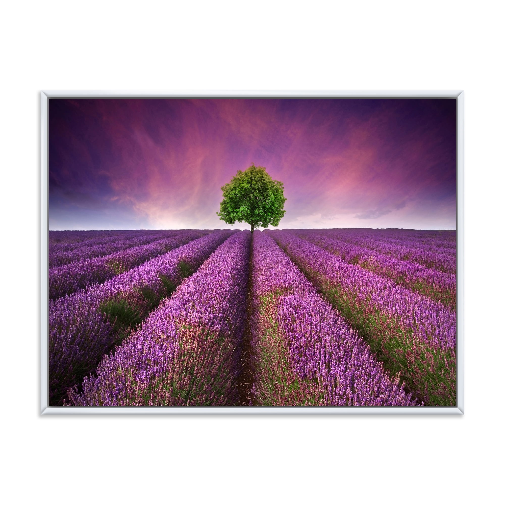 Designart 'Tree With Stunning Lavender Field Summer Sunset' Farmhouse Framed Canvas Wall Art Print