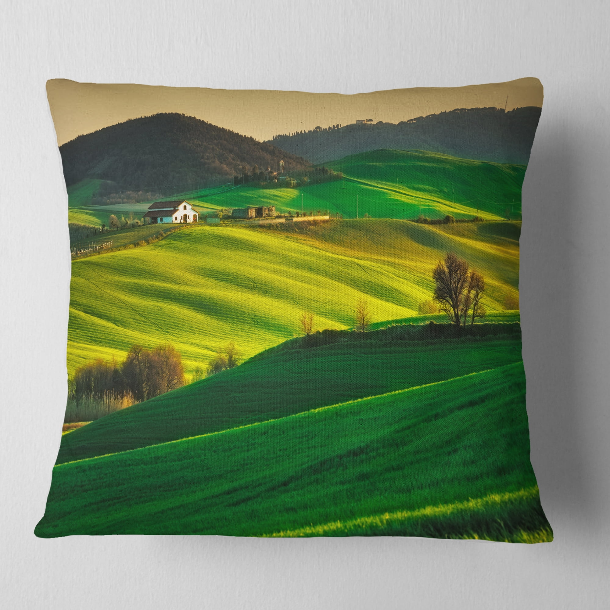 Designart Trees and Farmland Near Volterra - Landscape Printed Throw Pillow - 18x18