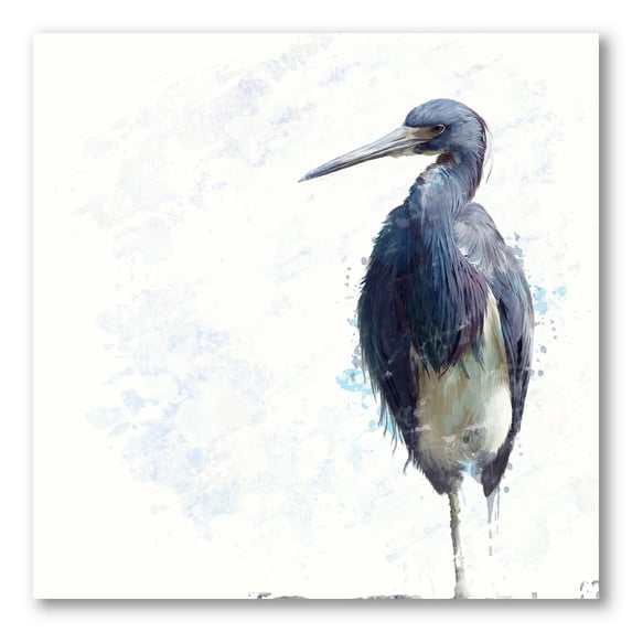 Designart ' Tricolored Heron Bird On White ' Farmhouse Canvas Wall Art Print