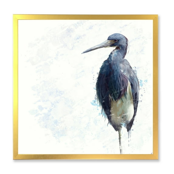 Designart 'Tricolored Heron Bird On White' Farmhouse Framed Art Print