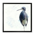 thumbnail image 1 of Designart 'Tricolored Heron Bird On White' Farmhouse Framed Art Print, 1 of 4