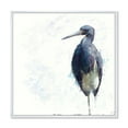 thumbnail image 1 of Designart 'Tricolored Heron Bird On White' Farmhouse Framed Canvas Wall Art Print, 1 of 5