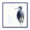 thumbnail image 1 of Designart 'Tricolored Heron Bird On White' Farmhouse Framed Canvas Wall Art Print, 1 of 1