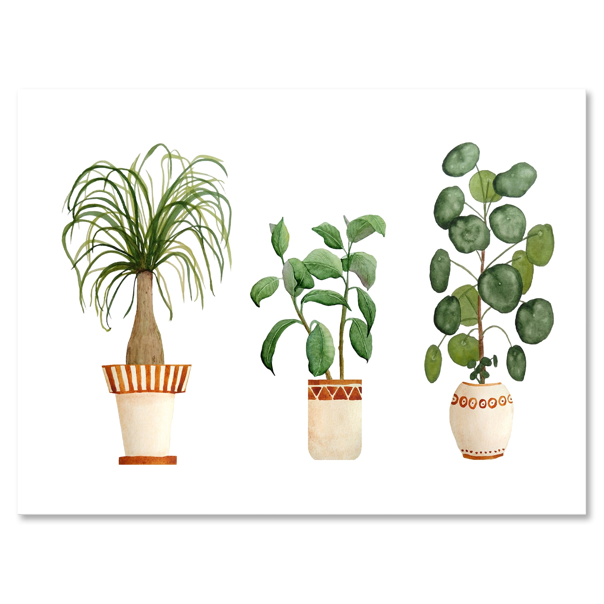 Designart ' Trio of House Plants Ficus Ponytail and Palm ' Traditional Canvas Wall Art Print