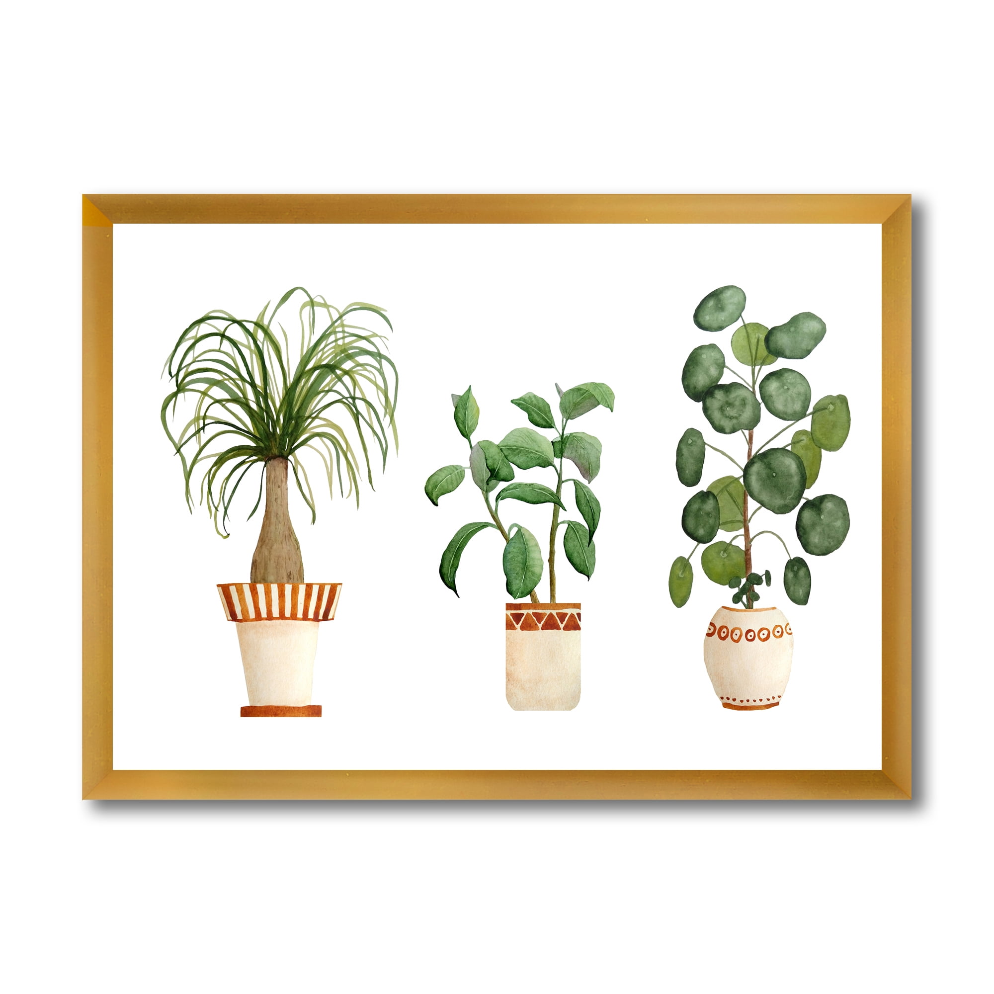 Designart 'Trio of House Plants Ficus Ponytail and Palm' Traditional Framed Art Print