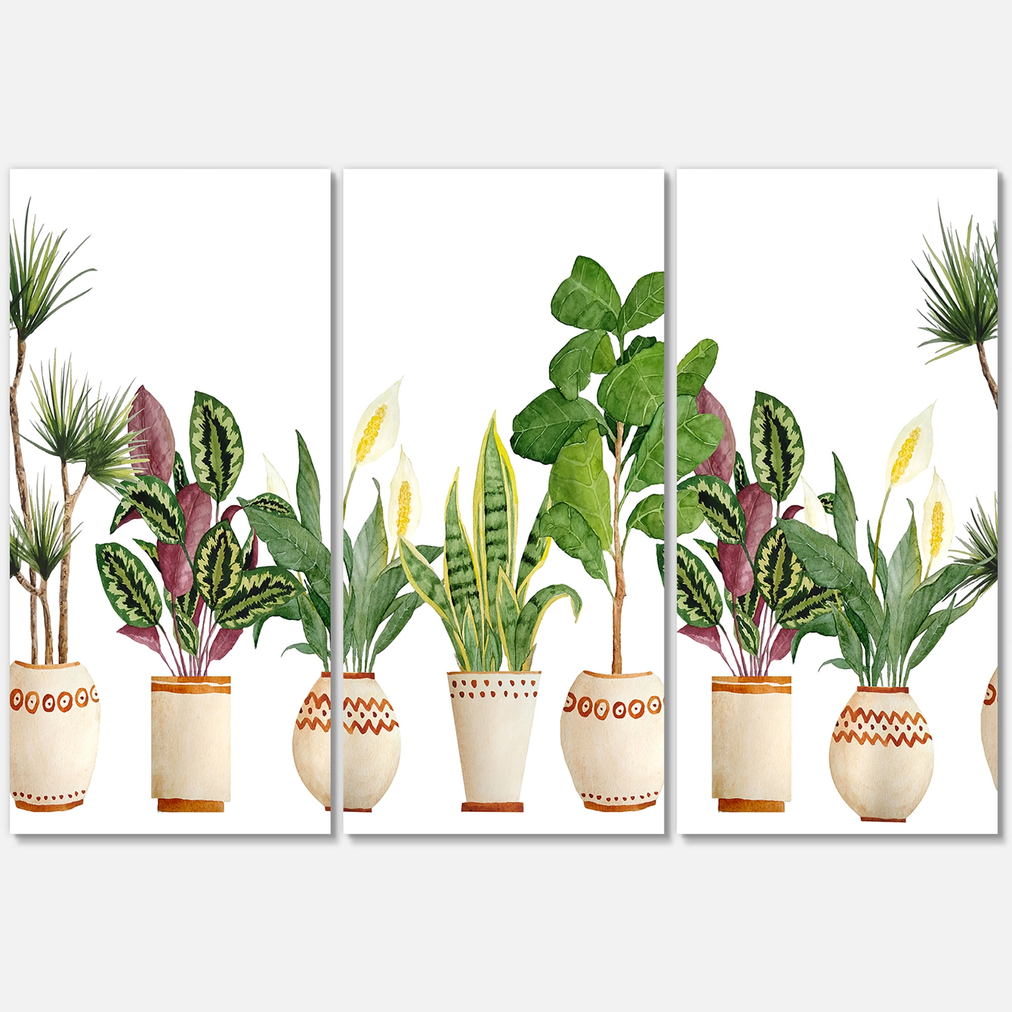 Designart ' Trio of Houseplants Sanseviera Snake Plants On White ' Farmhouse Canvas Wall Art Print
