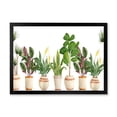 thumbnail image 1 of Designart 'Trio of Houseplants Sanseviera Snake Plants On White' Farmhouse Framed Art Print, 1 of 4