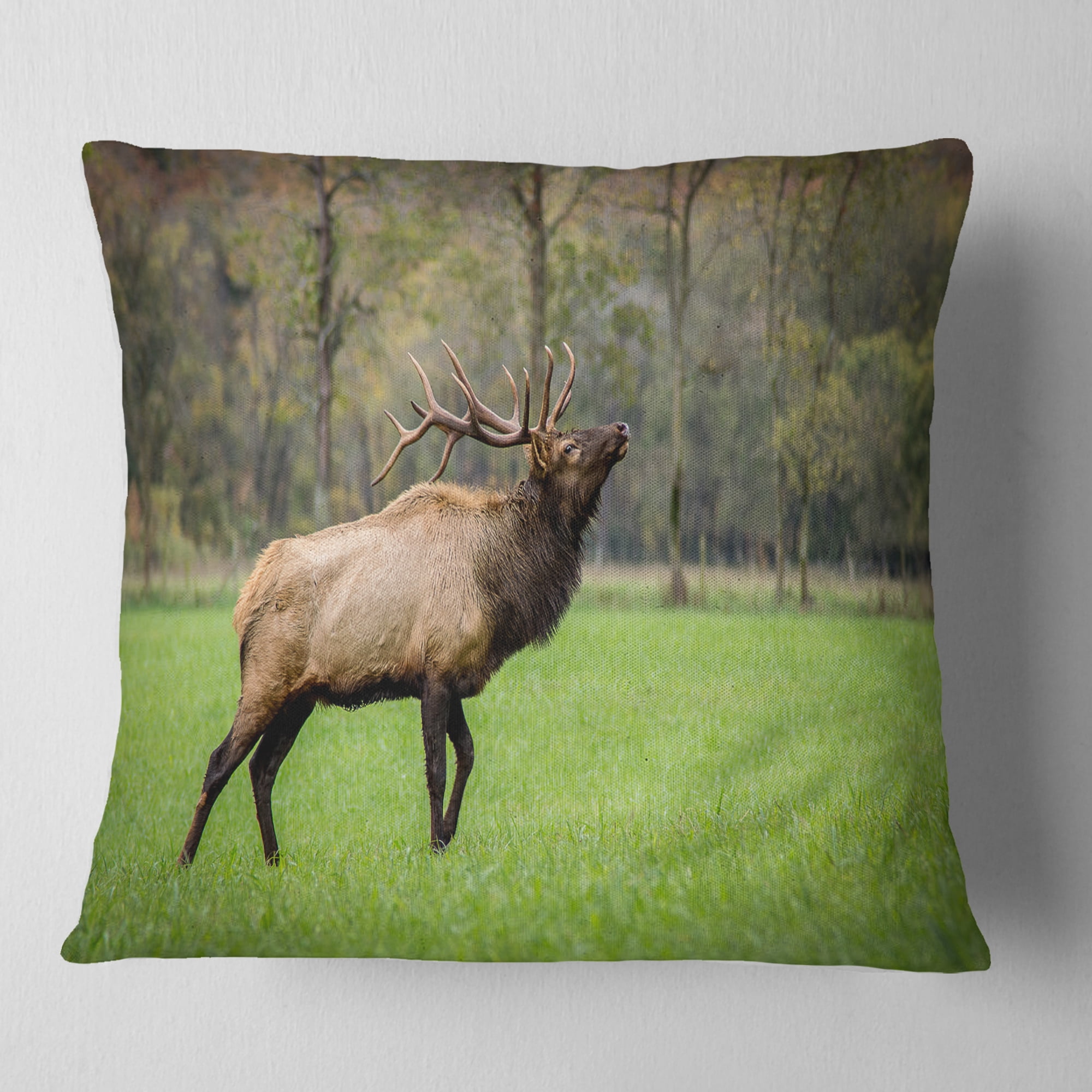 Designart Trophy Bull Elk in Green Grassland - Animal Throw Pillow - 18x18