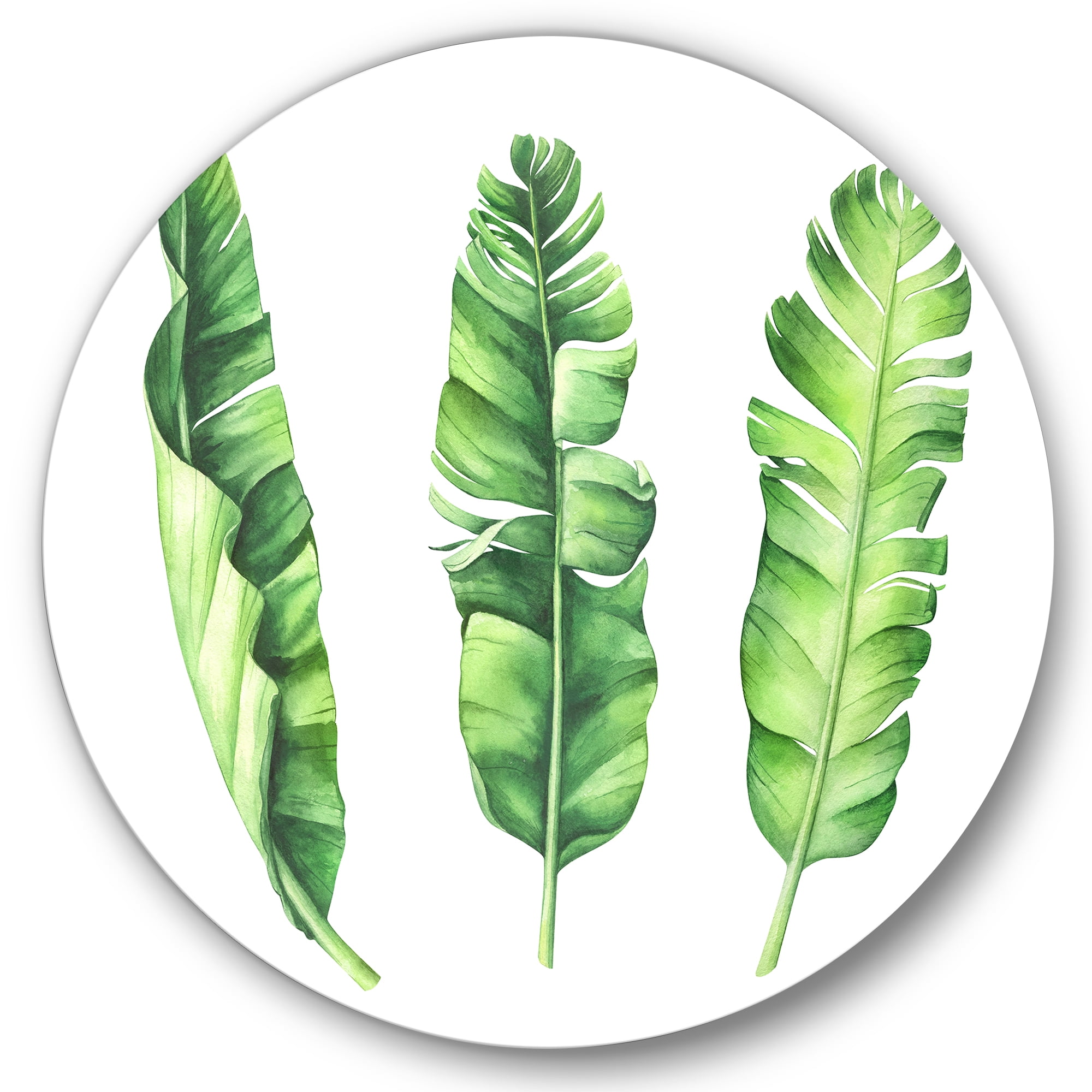 Designart 'Tropical Banana Leaves Set On White' Farmhouse Circle Metal Wall Art 29x29 - Disc of 29