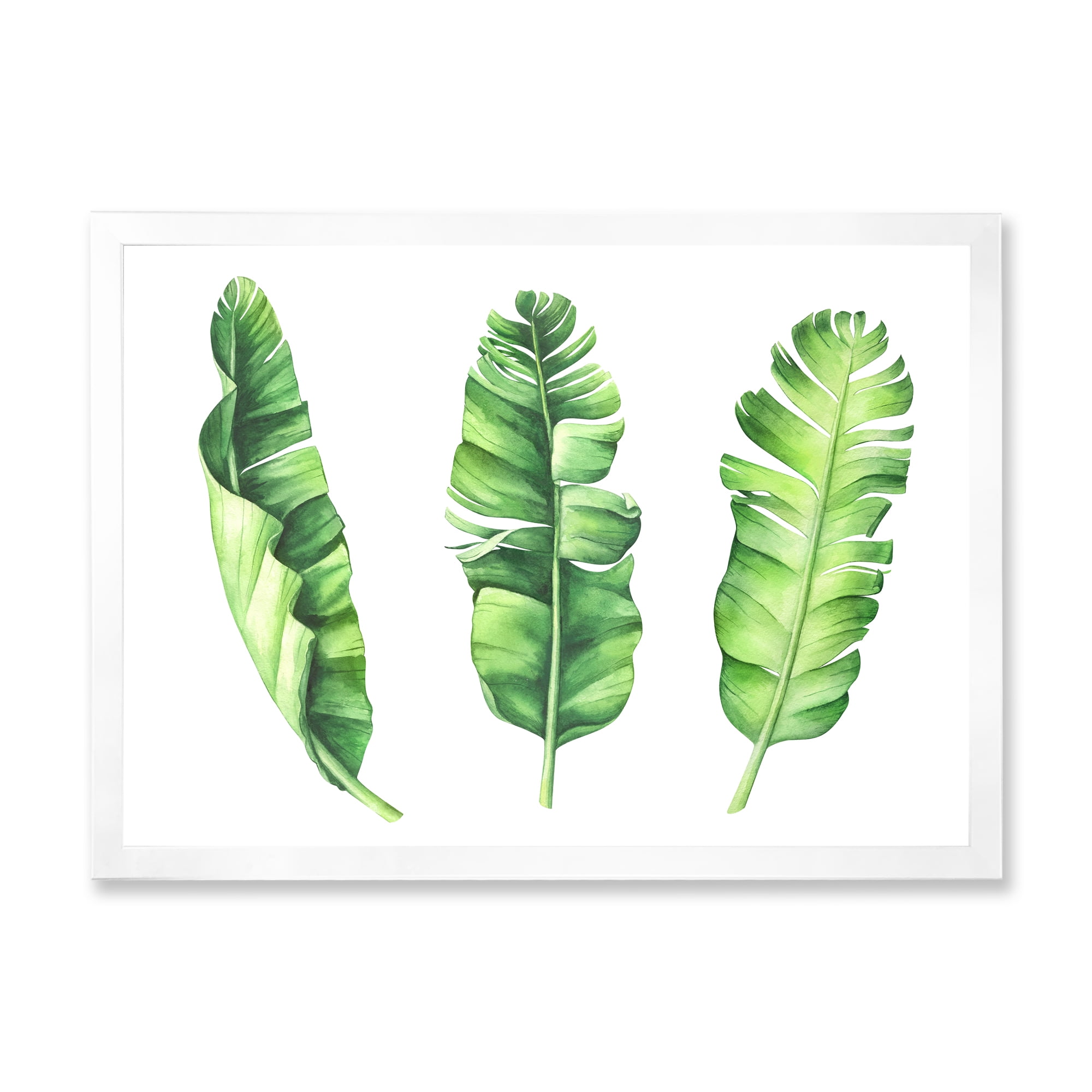 Designart 'Tropical Banana Leaves Set On White' Farmhouse Framed Art Print