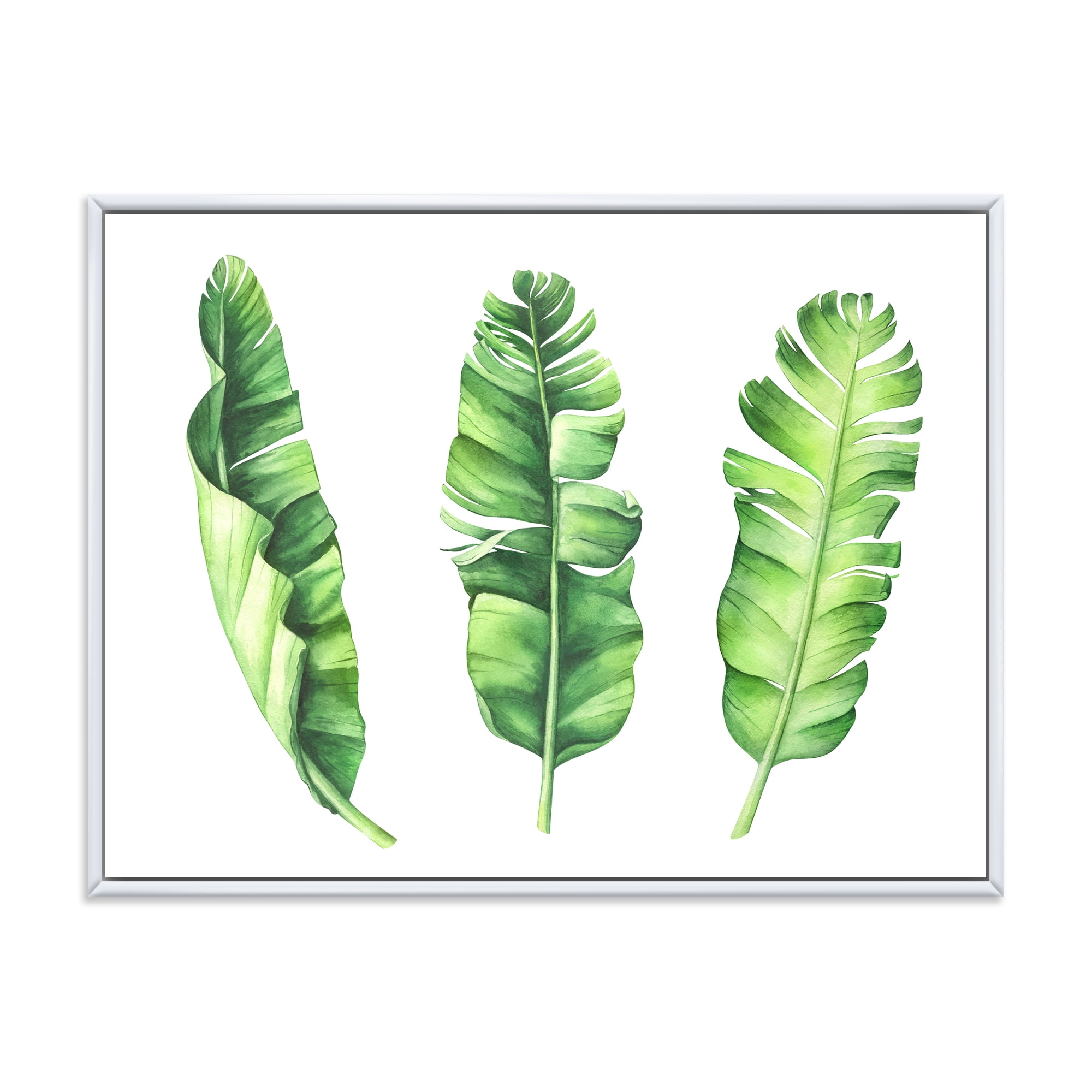 Designart 'Tropical Banana Leaves Set On White' Farmhouse Framed Canvas Wall Art Print