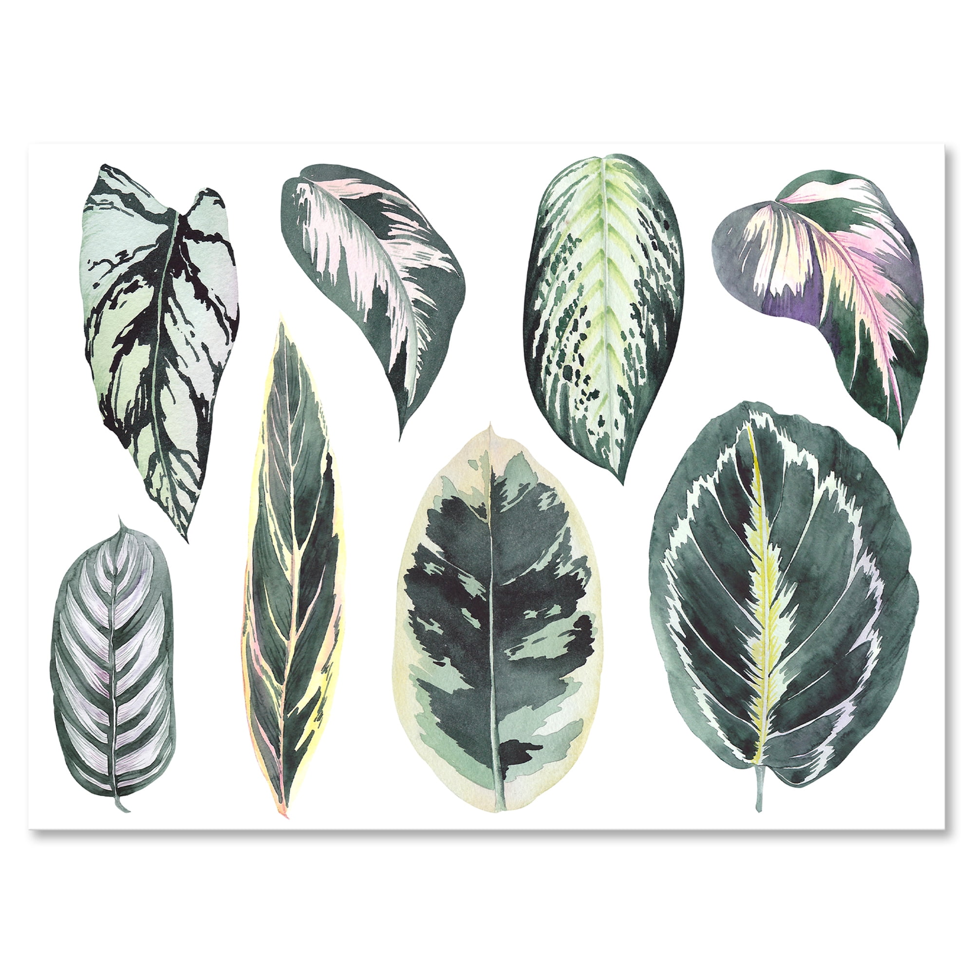 Designart ' Tropical Calathea Leaves On White ' Bohemian & Eclectic Canvas Wall Art Print
